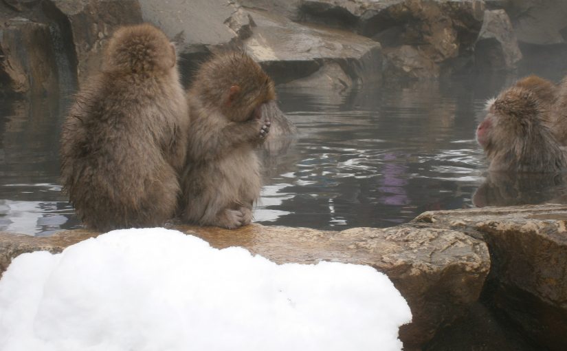 Hell Frozen Over | Snow Monkey Onsen, Jigokudani, Nagano
